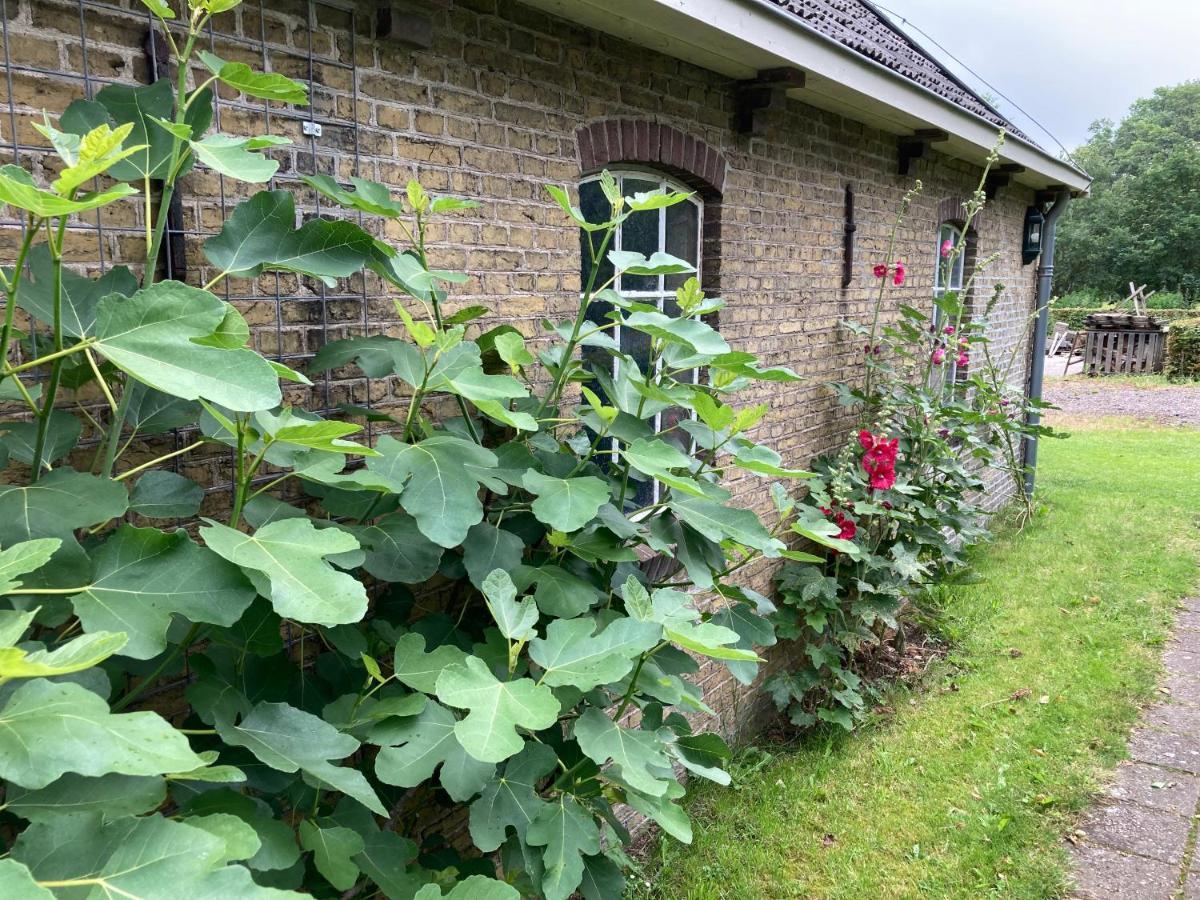 Apartamento Duerswald Wijnjewoude Exterior foto